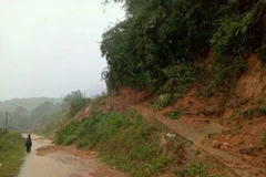 (Ảnh minh họa: Hồng Điệp/TTXVN)