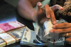 Ảnh chỉ có tính minh họa. (Nguồn: AFP/TTXVN)