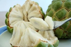 Hà Giang: Soi gắp thành công hạt na từ khí quản bé gái 3 tuổi