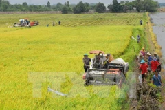 Hội thảo khoa học về phát triển bền vững vùng Tây Nam bộ