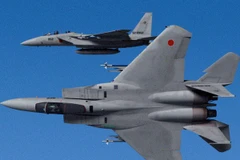 Chiến đấu cơ của Nhật Bản. (Nguồn: fureai.or.jp)