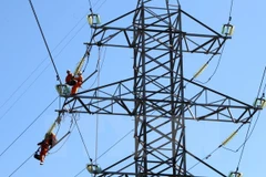 Ảnh minh họa. (Ảnh: Ngọc Hà/TTXVN)