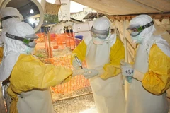 Nhân viên y tế điều trị cho bệnh nhân Ebola tại bệnh viện Donka ở Conakry, Guinea ngày 8/3. (Nguồn: AFP/TTXVN)