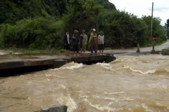 Ảnh minh họa. (Ảnh: Thu Hằng/TTXVN)