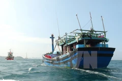 Ảnh minh họa. (Ảnh: Nguyên Lý/TTXVN)