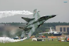 Máy bay Mig-29. (Nguồn: superbwallpapers.com)