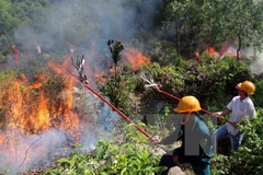 (Ảnh minh họa: Đỗ Trưởng/TTXVN)