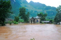 EU trao giải cuộc thi tìm hiểu về biến đổi khí hậu năm 2015