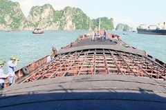 Quảng Ninh bắt giữ gần 5 nghìn tấn than không rõ nguồn gốc