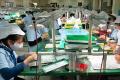 Ảnh minh họa. (Nguồn: TTXVN)