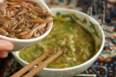 Đặc sản rươi trở thành nguồn thu nhập chính của người dân Tứ Kỳ