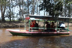 Những du khách đầu tiên tham quan Vườn quốc gia Tràm Chim bằng tàu chạy từ năng lượng mặt trời. (Ảnh: Huỳnh Phúc Hậu/TTXVN) 