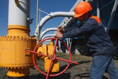 Ảnh minh họa. (Nguồn: AFP)