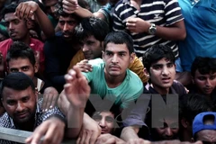 Người nhập cư trái phép chờ đợi được đăng ký bên ngoài một đồn cảnh sát ở đảo Kos, Hy Lạp. (Nguồn: AFP/TTXVN)