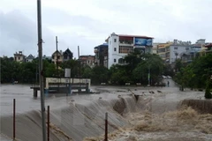 Ảnh minh họa. (Nguồn: TTXVN)