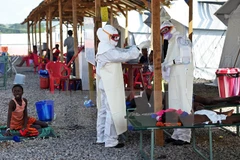 Nhân viên y tế Sierra Leone chăm sóc bệnh nhân nhiễm Ebola. (Nguồn: AFP/TTXVN)