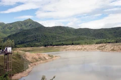 Ảnh minh họa. (Ảnh: Đình Huệ/TTXVN)