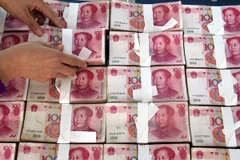 Ảnh minh họa. (Nguồn: THX/TTXVN)