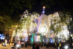 Ảnh minh họa. (Nguồn: TTXVN)