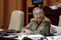 Chủ tịch Raul Castro. (Nguồn: THX/TTXVN)