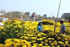 Các vùng trên cả nước trời nắng ấm, Nam Trung bộ có mưa rào 