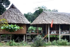 Nhà sàn truyền thống của người Bru-Vân Kiều ở Quảng Trị. (Ảnh: Hồ Cầu/TTXVN)