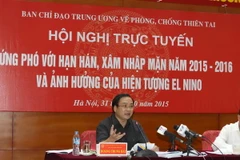 Phó Thủ tướng Hoàng Trung Hải phát biểu chỉ đạo. (Ảnh: Vũ Sinh/TTXVN) 