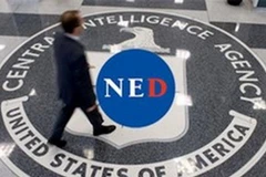 Ảnh minh họa. (Nguồn: ronpaulinstitute.org)