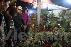 Độc đáo chợ Viềng - phiên chợ cầu may mỗi năm họp một lần