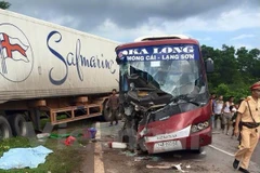 Ảnh minh họa. (Ảnh: Nguyễn Hoàng/Vietnam+)