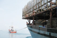 Phú Yên: Thi thể ngư dân gặp nạn trên biển được đưa vào đất liền