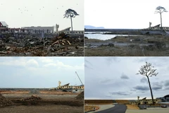 Tròn 10 năm sau thảm họa động đất và sóng thần tại vùng Đông Bắc vào ngày 11/3/2011, Nhật Bản đã nỗ lực tái thiết và phục hồi những khu vực bị tàn phá. Trong ảnh: Một khu vực tại Rikuzentakata, tỉnh Iwate, Nhật Bản, được xây dựng lại sau khi bị tàn phá do