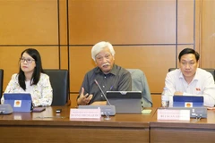 Đại biểu Quốc hội tỉnh Đồng Nai Dương Trung Quốc phát biểu ý kiển. (Ảnh: Doãn Tấn/TTXVN)