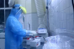 Xét nghiệm mẫu bệnh phẩm liên quan đến virus SARS-CoV-2 tại Trung tâm Y tế dựu phòng Hải Phòng. (Ảnh: Minh Thu/TTXVN)