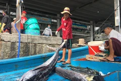 (Ảnh minh họa: TTXVN)