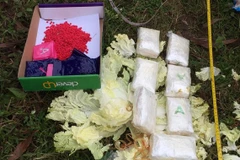 16.000 viên ma túy tổng hợp được bọc trong các cải thảo vứt lề đường. (Nguồn: Sggp.org.vn)