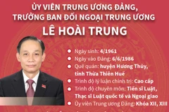 Quá trình công tác của Trưởng ban Đối ngoại TW Lê Hoài Trung