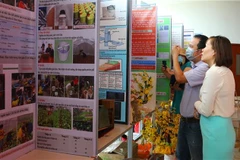 Tham quan các dự án tham gia cuộc thi. (Ảnh: Tường Vi/TTXVN)