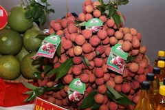 Vải thiểu Lục Ngạn. (Ảnh: Vũ Sinh/TTXVN)