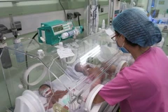 Trẻ sinh non được chăm sóc đặc biệt trong lồng ấp. (Ảnh: Đinh Hằng/TTXVN)