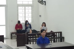 Bị cáo Hoa tại tòa. (Nguồn: congly.vn)