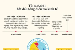 Hình thức và mục đích của tổng điều tra kinh tế năm 2021