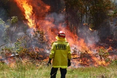 Một nhân viên chữa cháy tại New South Wales. (Ảnh: Stuff.co.nz)