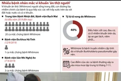 Ngày càng xuất hiện nhiều ca nhiễm "vi khuẩn ăn thịt người" Whitmore