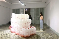 Khách tham quan triển lãm đa phương tiện “Cú nhảy bất ngờ” tại Bảo tàng Mỹ thuật Thành phố. (Ảnh: Thanh Vũ/TTXVN) 