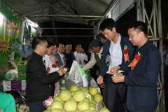 Các đại biểu tham quan các gian trưng bày bưởi Đại Minh tại Lễ hội. (Ảnh: Việt Dũng/TTXVN) 