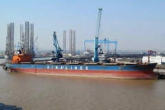 Ảnh minh họa. (Nguồn: Baodauthau)