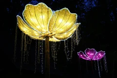 Một mẫu đèn lồng được trưng bày tại triển lãm đèn lồng Tự Cống ở Sibiu, Romania. (Ảnh: THX/TTXVN) 