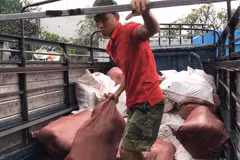 Số thịt lợn bẩn đựng trong các bao tải bị lực lượng chức năng thu giữ. (Ảnh: TTXVN phát)