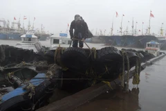 Những cơn sóng lớn ập vào bờ biển trước khi bão Lekima tiến gần đến tỉnh Chiết Giang, Trung Quốc. (Ảnh:THX/TTXVN)